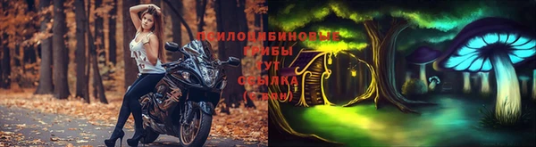 МДПВ Армянск