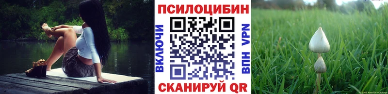 Псилоцибиновые грибы Cubensis  Спас-Деменск 